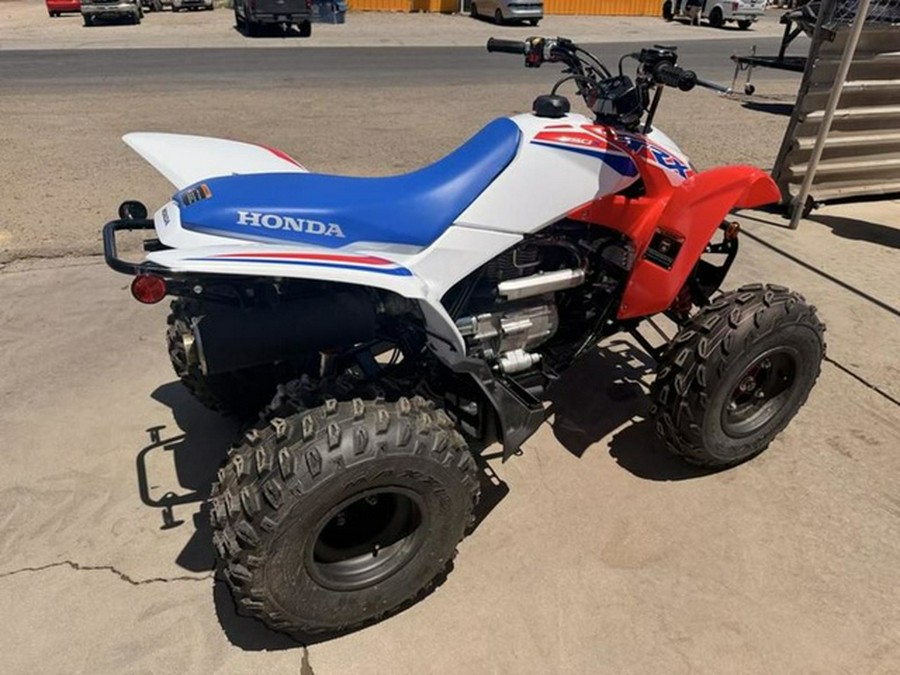 2026 Honda TRX 250X