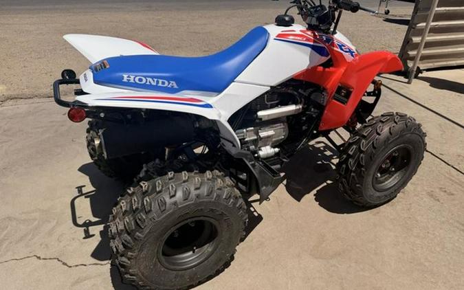 2026 Honda TRX 250X