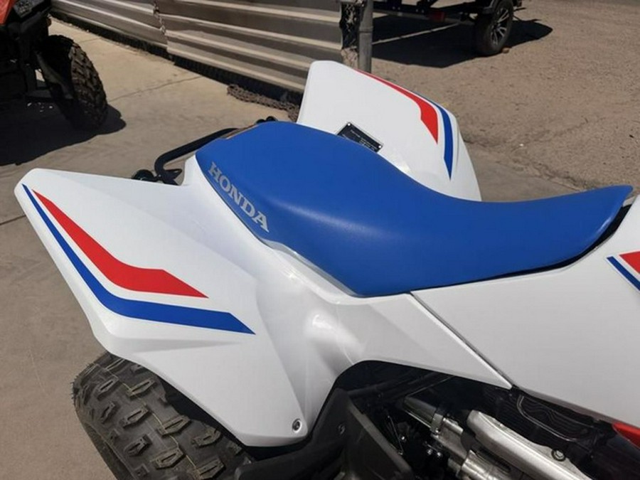 2026 Honda TRX 250X