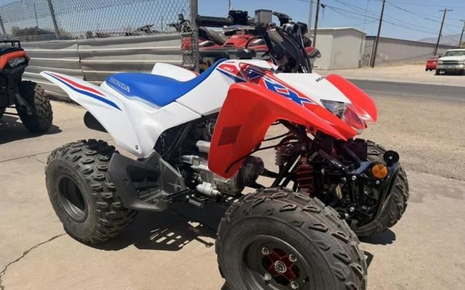 2026 Honda TRX 250X