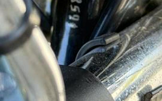 2021 Harley-Davidson Road Glide® Limited