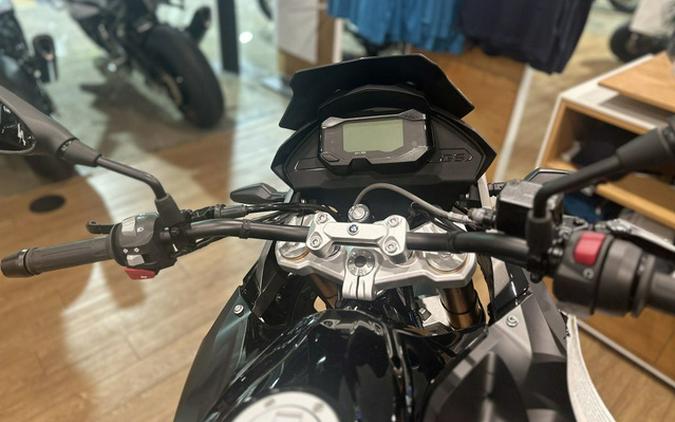 2025 BMW G 310 GS Style Rallye 310 GS