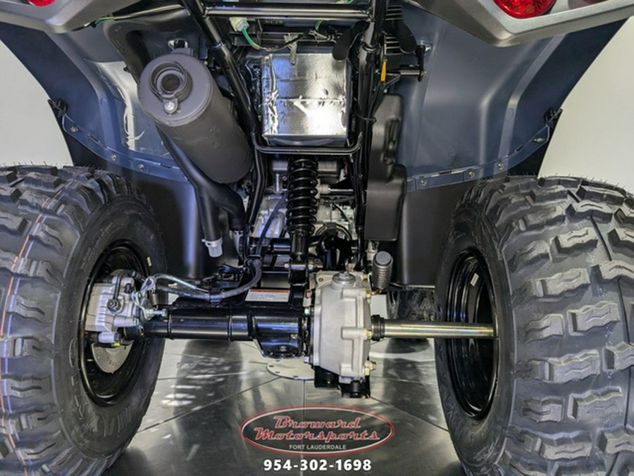 2025 Kawasaki Brute Force 300