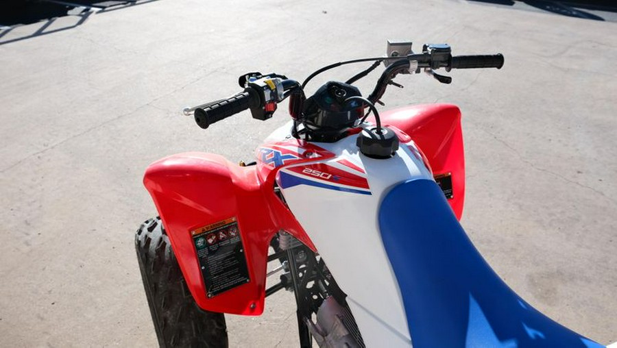 Used 2025 HONDA TRX 250X