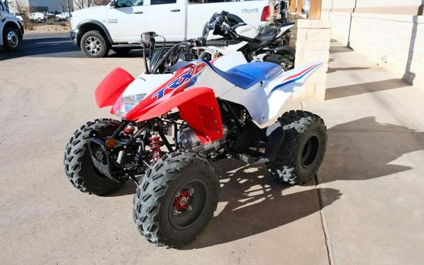 Used 2025 HONDA TRX 250X
