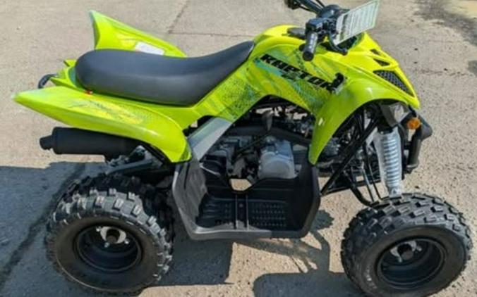 2026 Yamaha Raptor 110