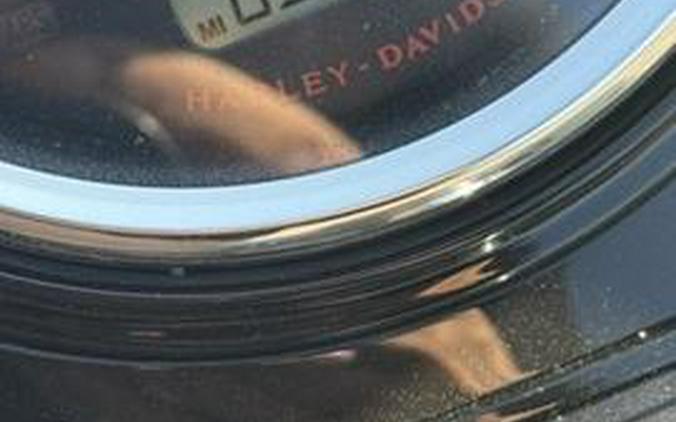 2018 Harley-Davidson Road King® Special