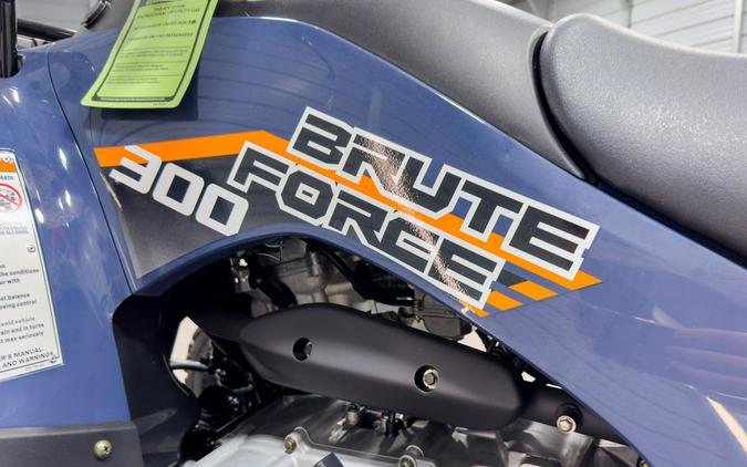 2024 Kawasaki Brute Force® 300