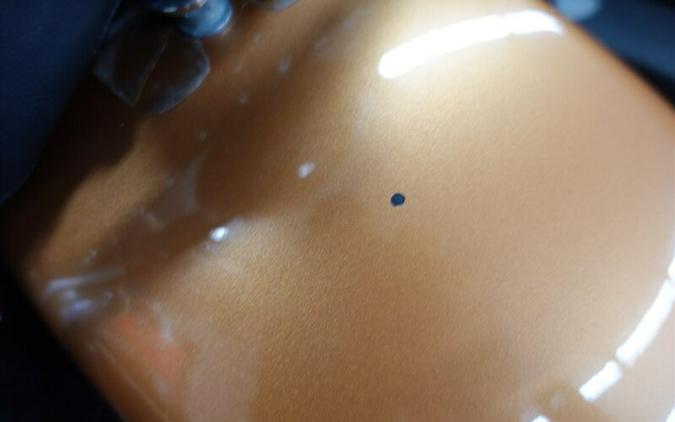 2008 Harley-Davidson Softail Deluxe