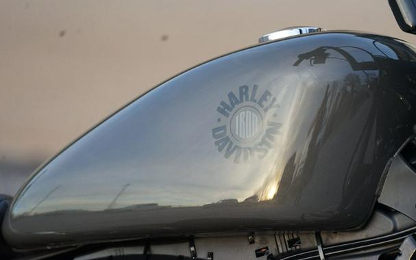 2019 Harley-Davidson XL 883N - Sportster Iron 883