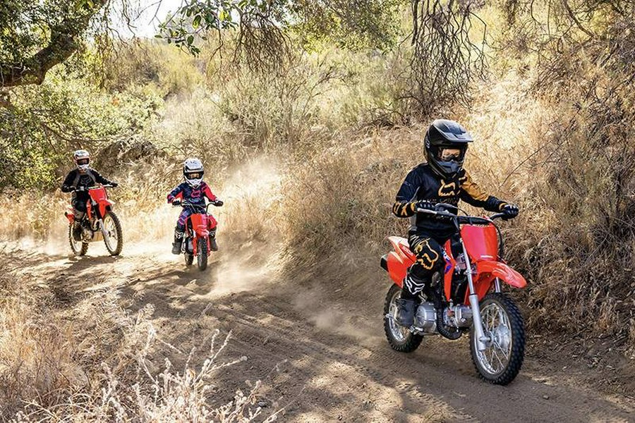 2027 CRF110F - Honda