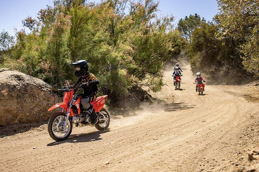 2027 CRF110F - Honda