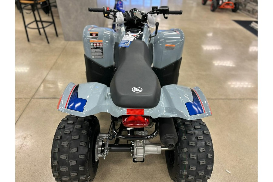 2026 Polaris PHOENIX 200