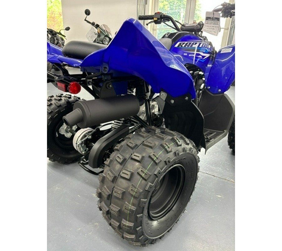 2026 Yamaha Raptor 110