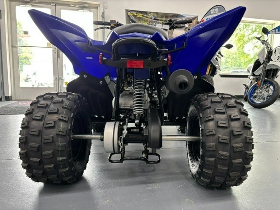 2026 Yamaha Raptor 110