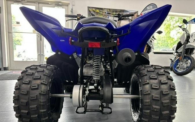 2026 Yamaha Raptor 110