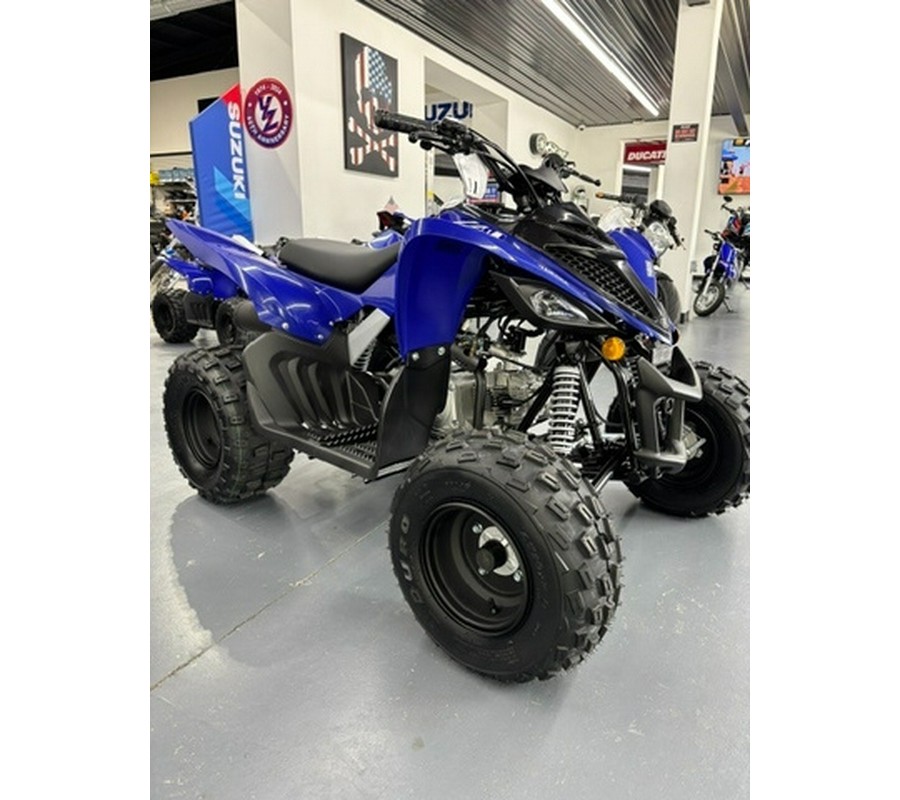 2026 Yamaha Raptor 110