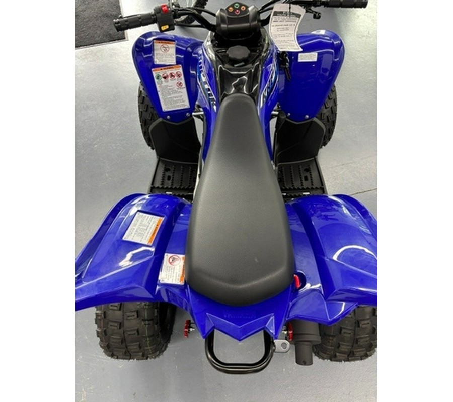 2026 Yamaha Raptor 110