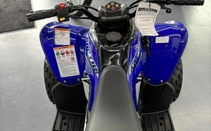 2026 Yamaha Raptor 110