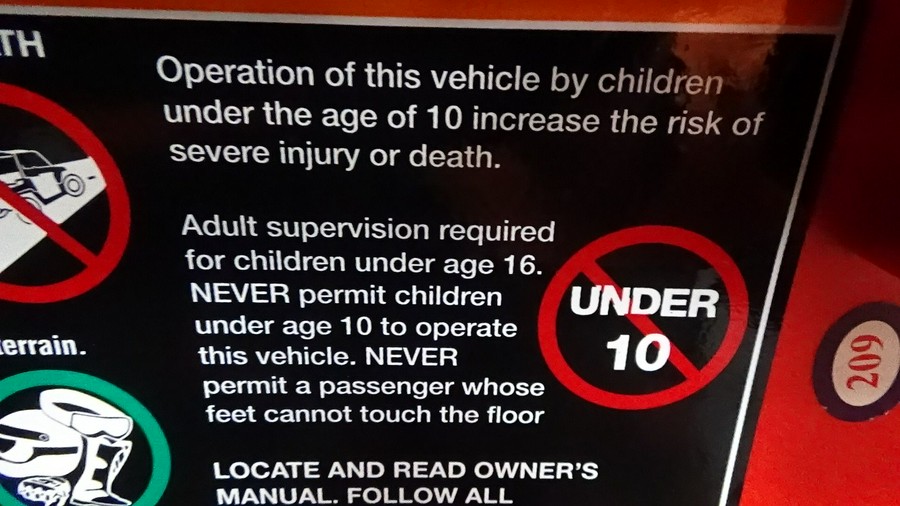 2026 Polaris RZR 200 EFI