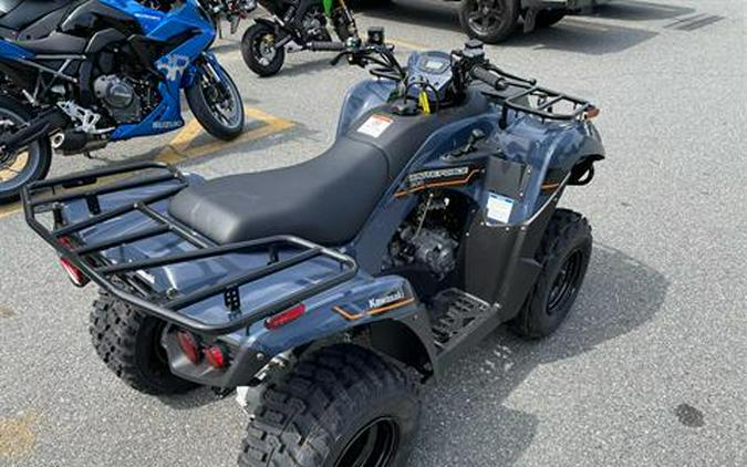 2025 Kawasaki Brute Force 300