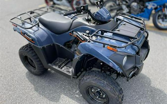 2025 Kawasaki Brute Force 300