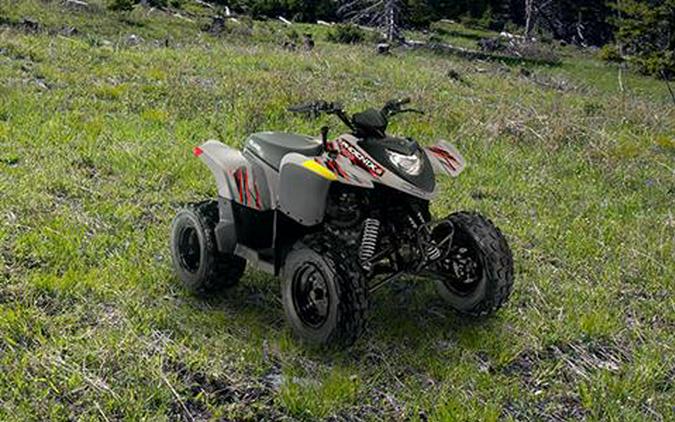 2022 Polaris Phoenix 200