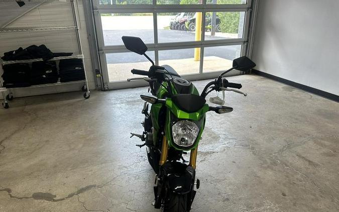 2024 Kawasaki Z125 PRO