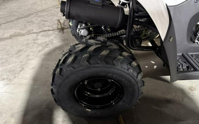 2026 Kawasaki KFX®50