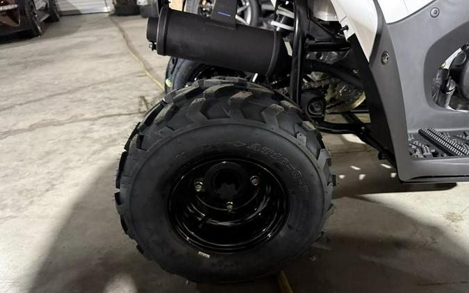 2026 Kawasaki KFX®50