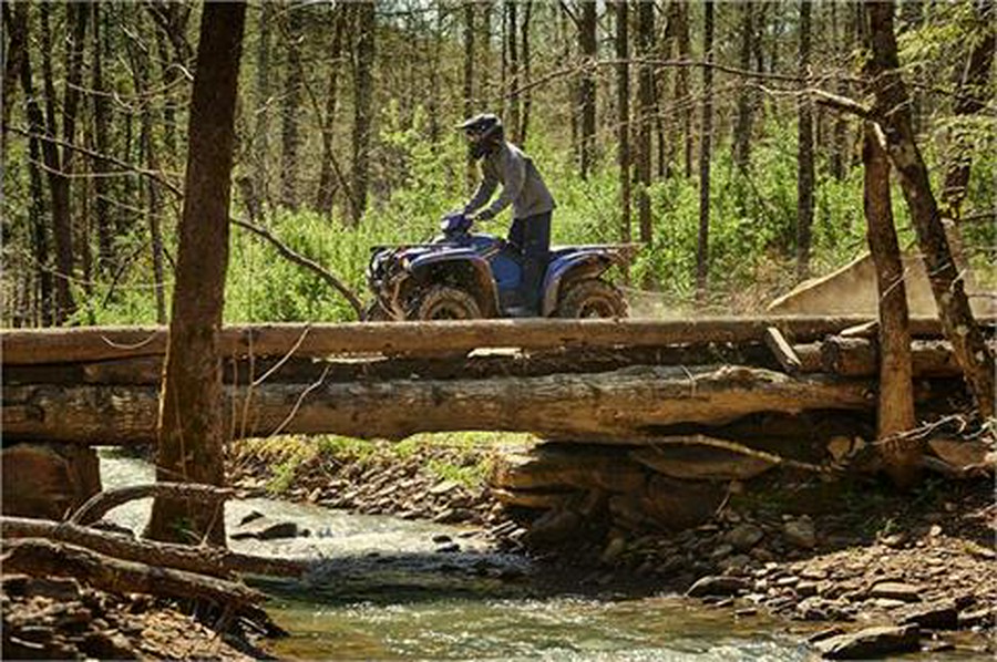 2019 Yamaha Kodiak 700 EPS SE