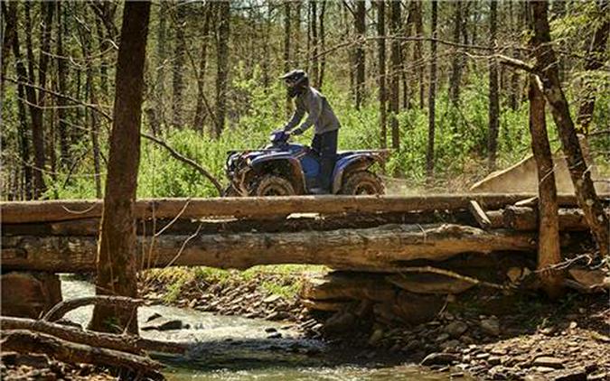 2019 Yamaha Kodiak 700 EPS SE