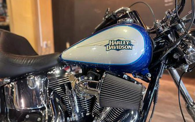 2010 Harley-Davidson Softail® Custom