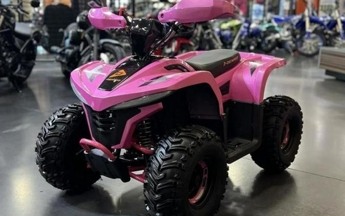 2026 Denago Powersports E-Hawk 6