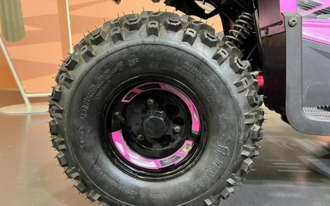2026 Denago Powersports E-Hawk 6