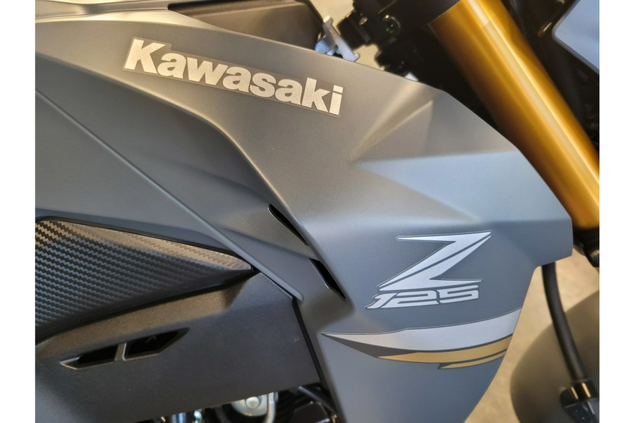 2024 Kawasaki BR125JRFNL