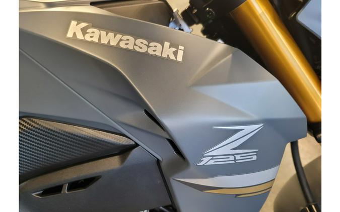 2024 Kawasaki BR125JRFNL