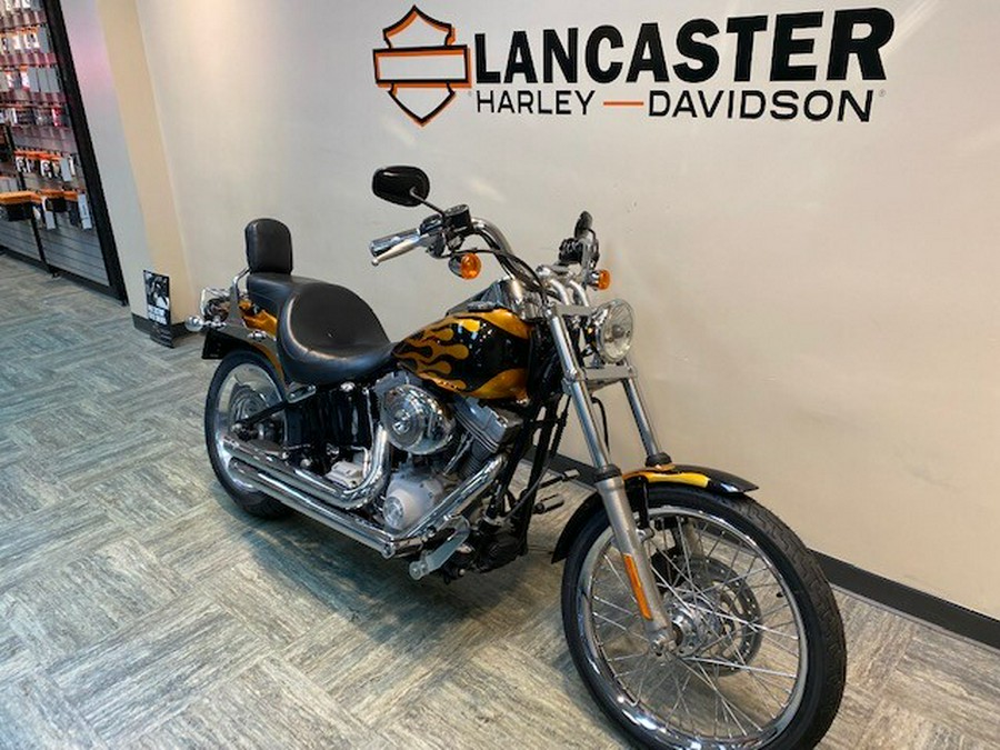 2006 Harley-Davidson Softail Standard Custom Gold and Black