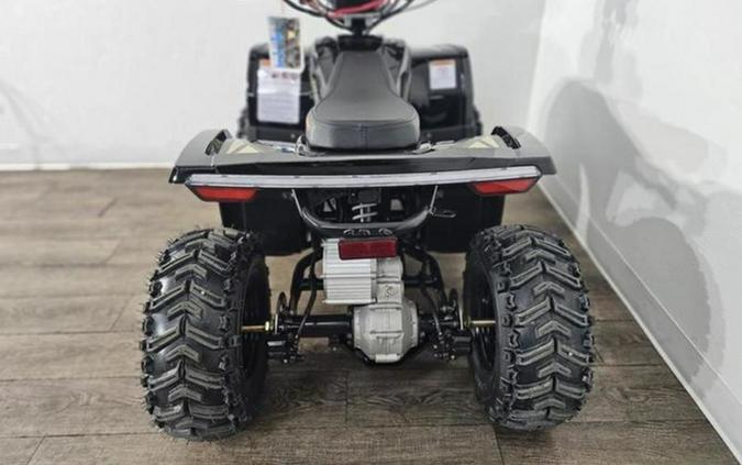 2026 Denago Powersports E-Hawk 6