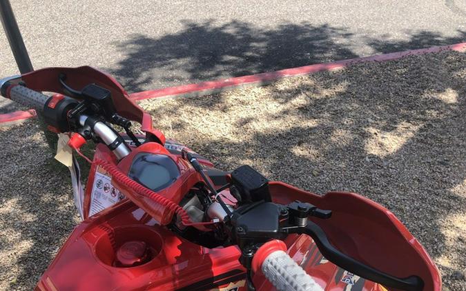 2026 Denago Powersports Trailhawk 10FI