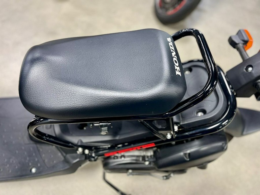 2015 Honda® Ruckus