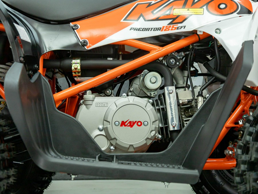 2026 KAYO PREDATOR 125