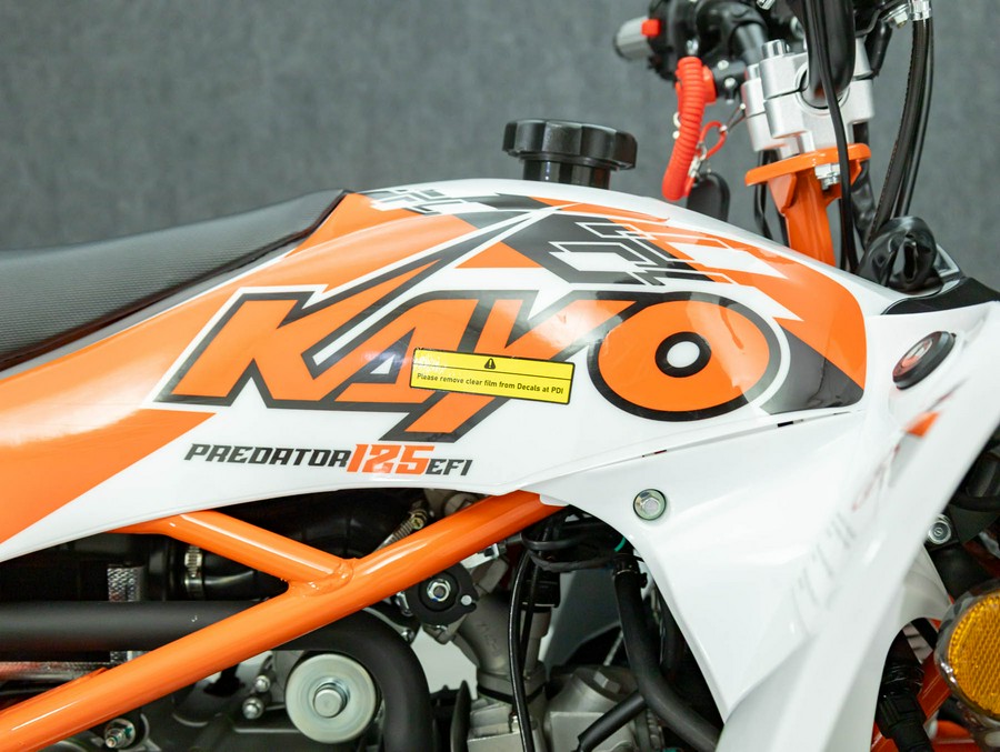 2026 KAYO PREDATOR 125