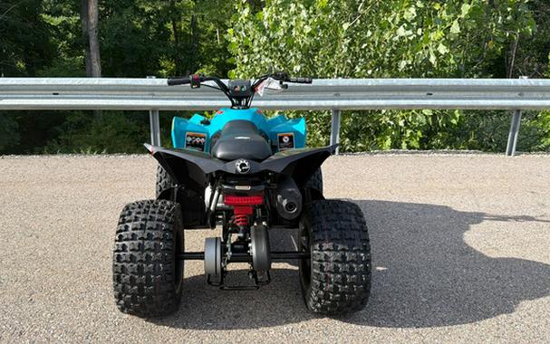 2026 Can-AM RENEGADE 110 EFI