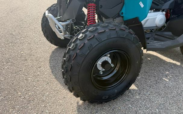 2026 Can-AM RENEGADE 110 EFI