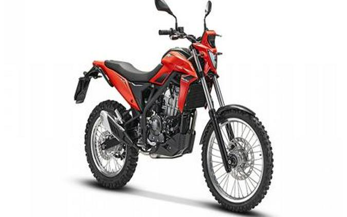 2026 Beta Motorcycles ALP 4.0