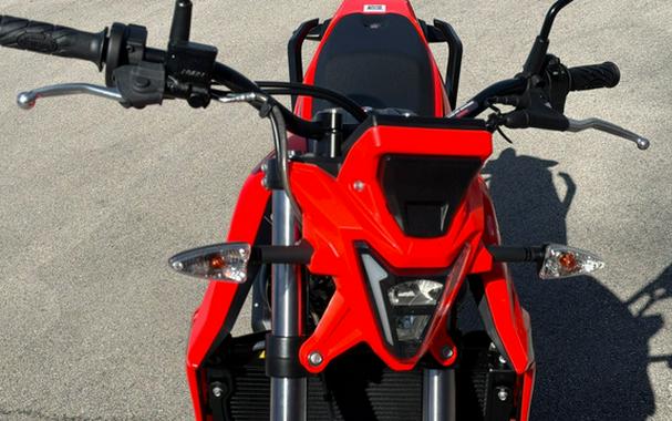 2026 Beta Motorcycles Alp 4.0