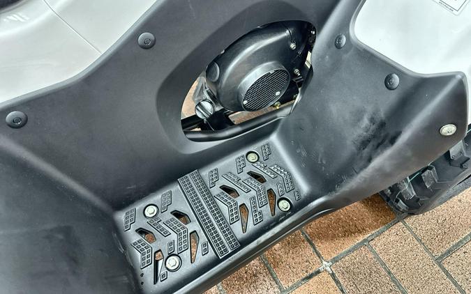 2026 Kawasaki KFX 50