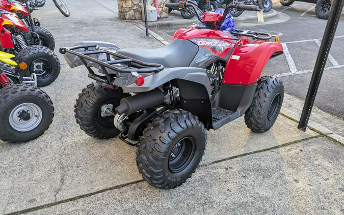 2025 Yamaha Grizzly 110