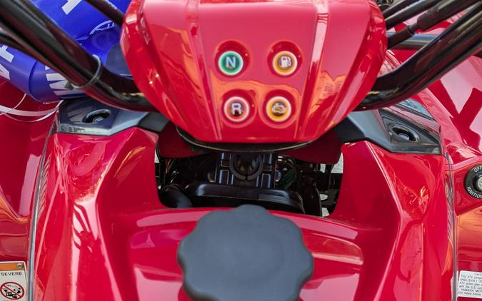 2025 Yamaha Grizzly 110